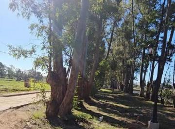 Terreno · 540m² · Terreno Lote en Venta en Santa Sofía, Pilar del Este, Pilar