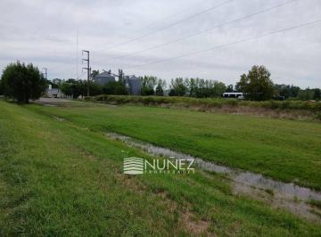 ANC-ANC-1446_2 · Venta Lote en Abasto, La Plata