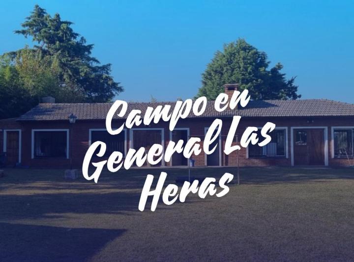 Campo · 600m² · 5 Ambientes