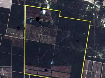 Campo , Las Delicias · Unico! Campo Mixto - Las Delicias - Santiago del Estero - 4.209 Ha