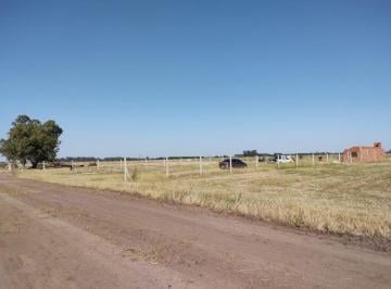 Terreno · 550m² · Venta - Lote en Zapiola - Lobos