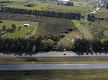 Campo · 3ha · Venta de Campo 3 Ha Sobre Ruta 8 Km. 45