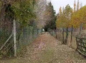 Campo · 44446m² · Campo en Venta
