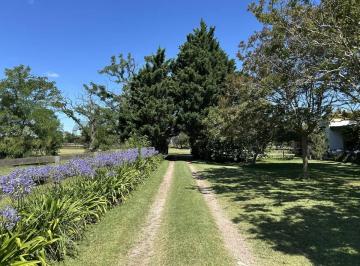 Campo · 140m² · 5 Ambientes · Campo en Venta en Gran La Plata