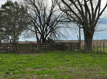 Terreno · 100m² · Vendemos Campo por Acceso a Payro