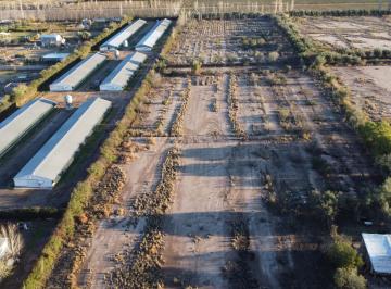 Terreno , Russell · Terreno, Finca en Venta – 3 Hectáreas, Maipú, Mendoza