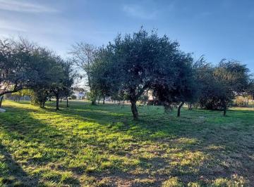 Terreno · Venta Lotes en Bella Vista
