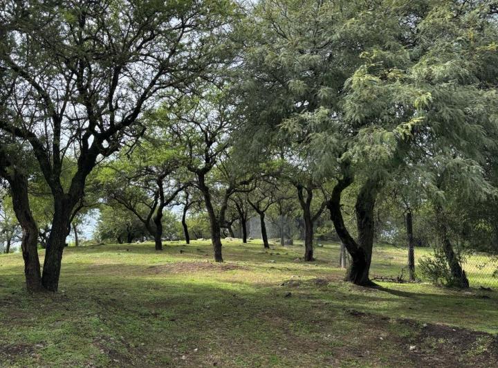 Terreno · 1000m²