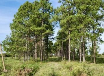 Terreno · 1060m² · Terreno en Venta en Helvecia