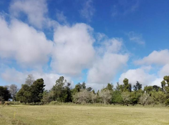 Terreno · 100m² · 3 Ambientes