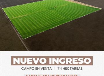 Campo , Santa Clara de Buena Vista · Santa Clara de Buena Vista 74 Has Agrícolas Mixtas. Campo en Venta