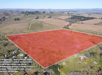 Campo · 20ha · En Venta 20 Ha Zona La Porteña Tandil