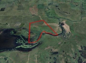Campo · 74ha · Campo 74 Hectáreas - Rocha Proximo a Laguna Garzon