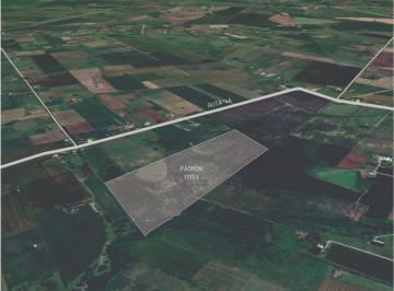 Campo · 22ha · Venta de Campo 22 Ha Los Cerrillos