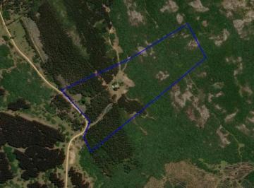 Campo · 185000m² · 6 Ambientes · 2 Cocheras · Cerro de La Mina - Maldonado 18.50 Hás