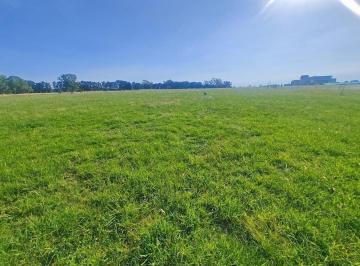 Terreno · 16000m² · Lch. Venta de Terreno En, Barrio Quebradas, Villa Rural