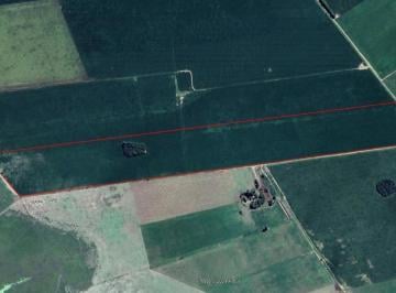 Campo · 300000m² · Venta - Campo 30 Has - Monje, Santa Fe.