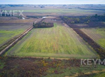 Campo · 150000m² · Campo en 15 Ha La Luisa Capitán Sarmiento