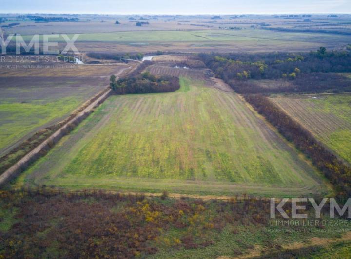 Campo · 150000ha