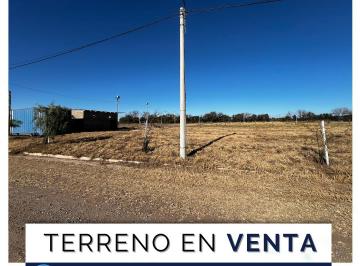 Terreno , Sinsacate · Venta / Terreno
