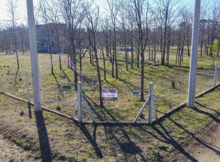 Terreno · 1000m²