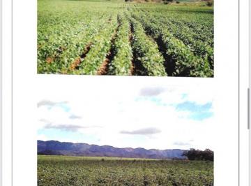 Campo · 500000000m² · 1 Ambiente · Campo 50.000 Hectáreas Venta Rosario de La Frontera, Salta