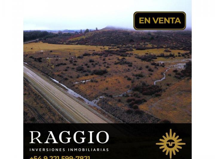 Terreno · 15ha