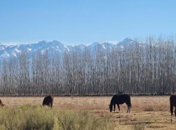 Campo · 1012870016ha · Terreno en Totoral