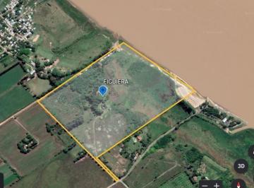 Campo · 160000ha · 7 Ambientes · 3 Cocheras · Venta Campo 16 Ha con Salida Al Parana Fighiera