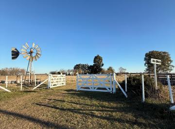 Campo de 1 ambiente, Saladillo · Campo 12,6 Hectáreas con Hermosa Casa en “la Unión”