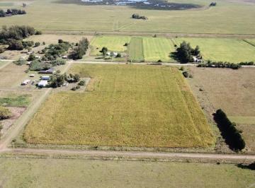 Imagen1 · Chacra Lote 4 Ha Los Pinos