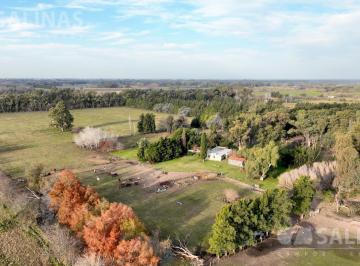 Campo · 285000m² · 7 Ambientes · 28 Ha Chacra en Zona Polera
