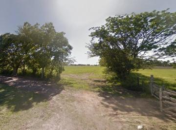 Campo · 110000m² · Campo en Roldan