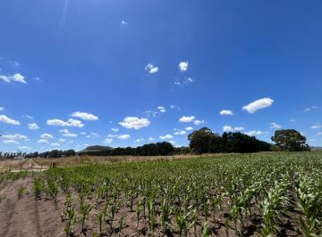 Campo · 180000m² · 4 Cocheras · Campo en Balcarce