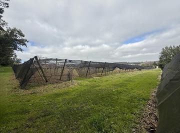 Campo · 100000m² · Campo en Sierra de Los Padres