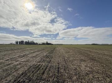 Campo · 1170000m² · Campo en Sierra de Los Padres