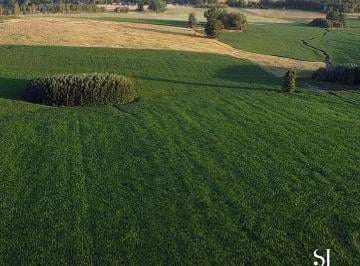 Campo , Tandil · Chacra de 13,5 Ha en Tandil
