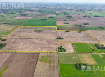 Campo · 1050000m² · 105 Ha Campo Agrícola en San Andrés de Giles