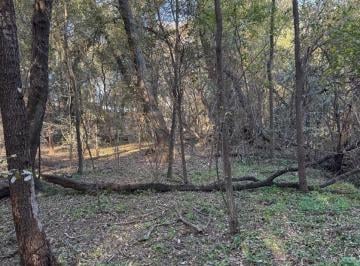 Terreno · 11719m² · Lote 1ha Anisacate Colectora Rp5