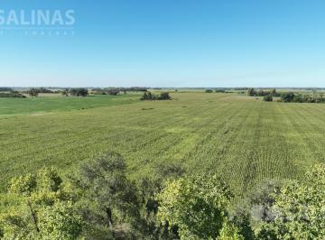 Campo · 250000m² · 25 Ha Chacra en San Andres de Giles