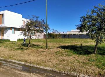 Terreno · 347m² · Terreno - El Quimilar