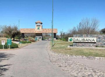 Terreno · 5000m² · Terreno en Venta en La Causana – 5.000 m² en Entorno Natural Único