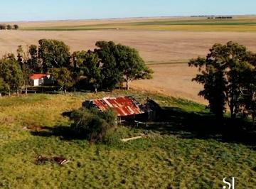La Dominga · Campos Mixtos Bahia Blanca
