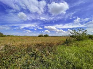 Campo · 60000m² · Venta Campo Apto Loteo Y/o Desarrollo Logístico/industrial
