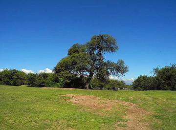 Campo · 1030000m² · 1 Ambiente · Hermoso Campo en Ojo de Agua