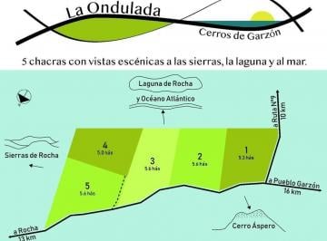 Campo · 60000m² · Chacras en Pueblo Garzón