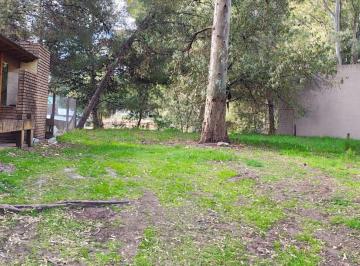Terreno , Monte Hermoso · Monte Hermoso, Sauce Lote en Venta