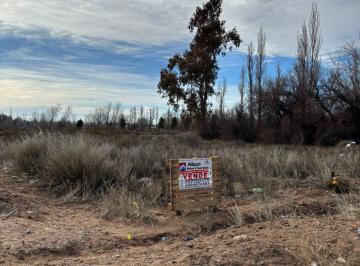 Terreno , Senillosa · Hermoso Lote en Senillosa Sobre Ruta 22