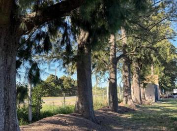 Terreno · 900m² · Lotes en Venta, Los Pinares - Arana 637 y 31