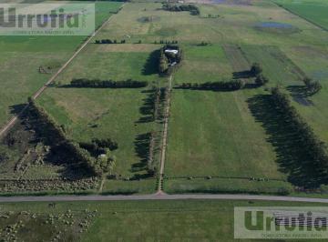 Campo · 370000m² · Campo en Ruta 41 Navarro